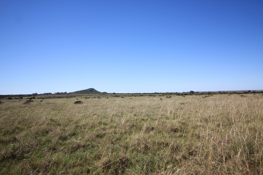 0 Bedroom Property for Sale in Mossel Bay Rural Western Cape